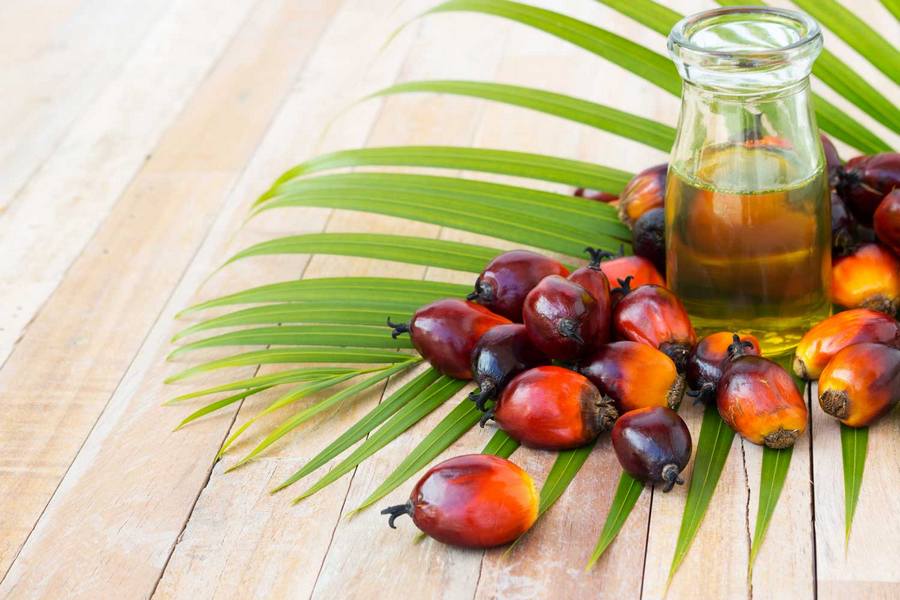 Рост продаж пальмового масла