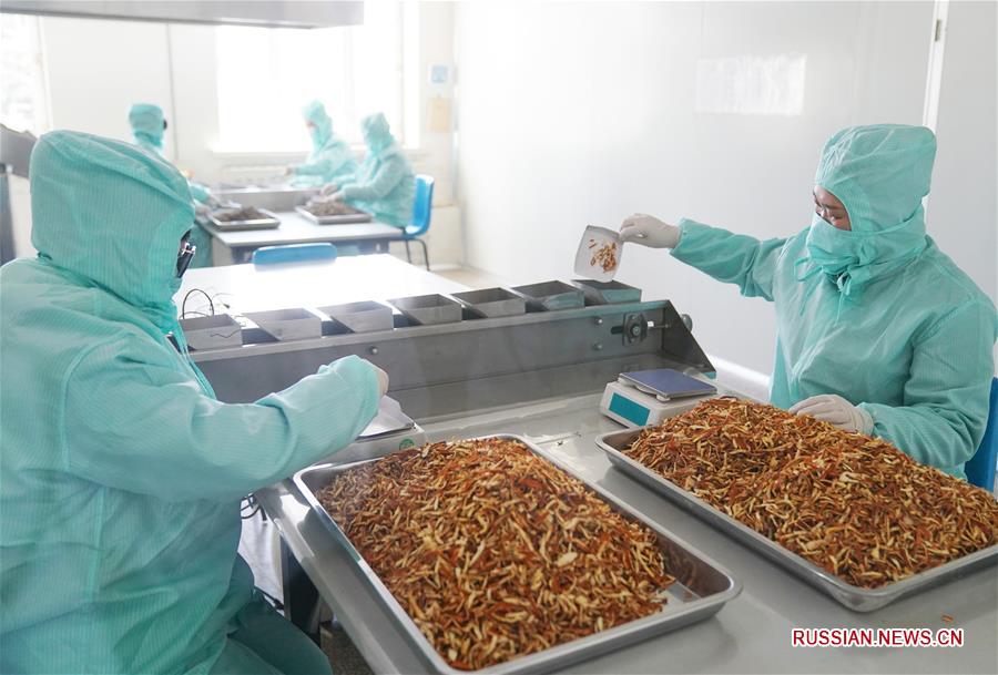 Производство лекарств традиционной китайской медицины