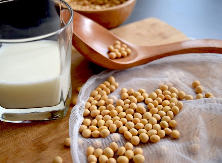 ГК «Эфко» запустила пилотный проект выпуска соевого молока