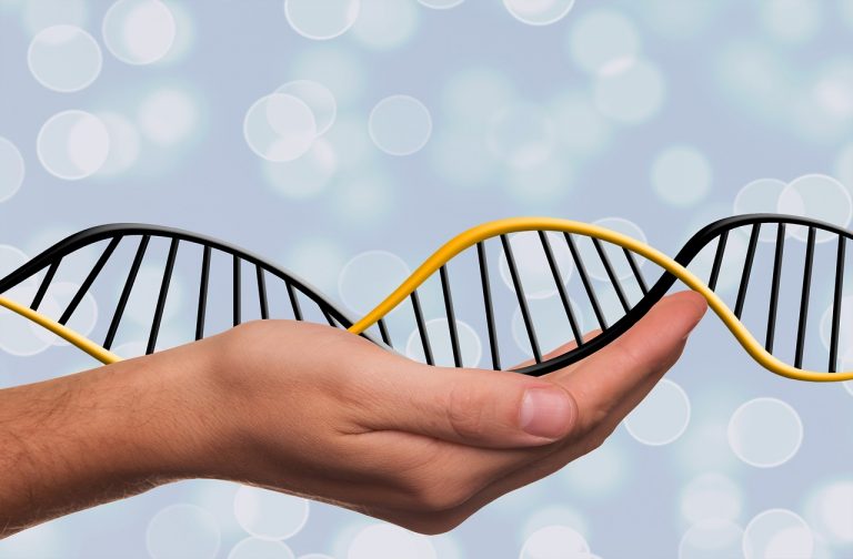 Ученые «БелГУ» получат грант в области генетических технологий