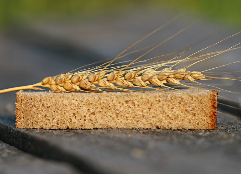 Борьба с недоеданием — выводятся новые сорта пшеницы, обогащенные цинком