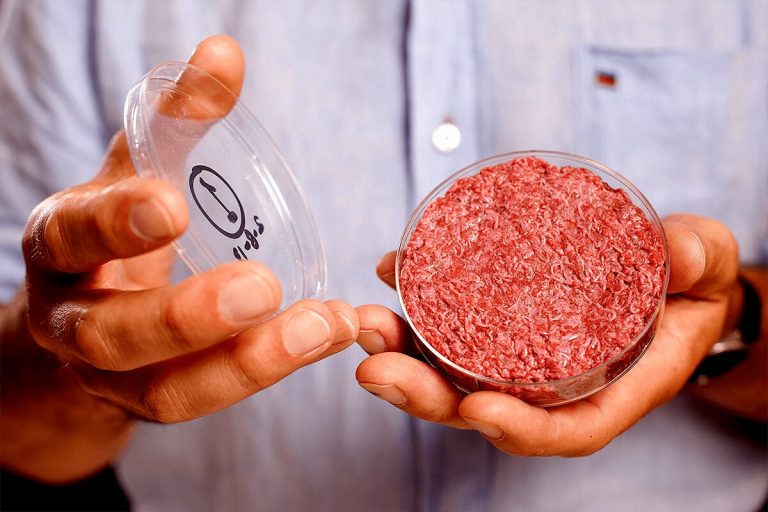 США: мясо будущего должно стать доступным для покупателей