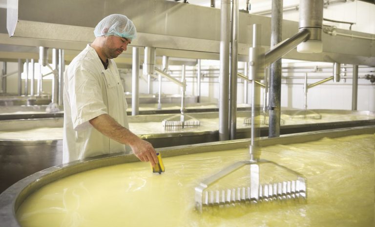 Как получить “сладкую” сыворотку при производстве сыра