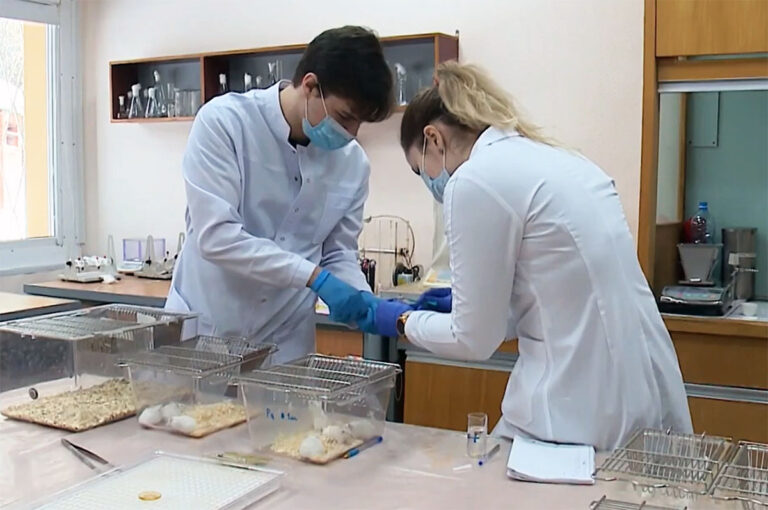 Новосибирские ученые изучают действие бетулина на раковые опухоли