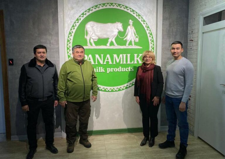 Коровы голштинской породы дают в Узбекистане иммунное молоко