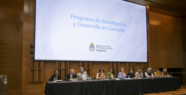Аргентина: дан старт «Программе исследований и разработок каннабиса»