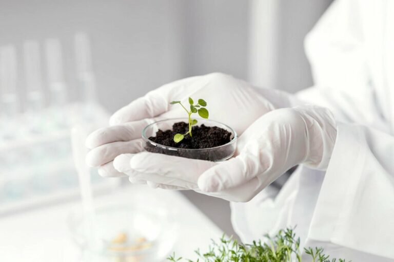 Древний белковый фермент позволит повысить урожайность растений
