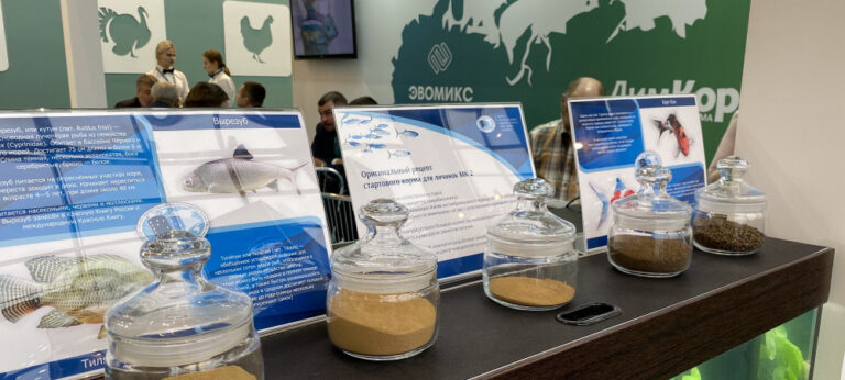 В России создают основу для масштабного производства рыбных кормов
